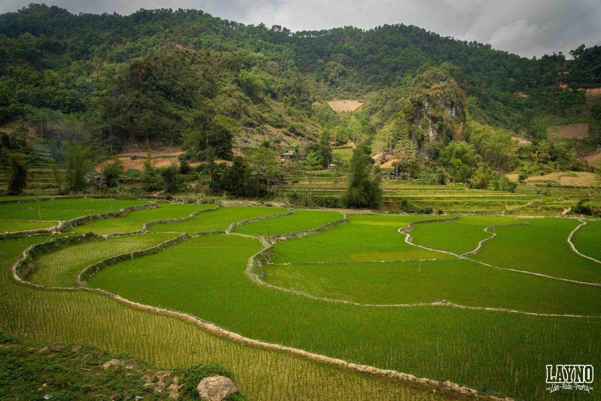 Quiri Hostel Ha Giang Lang Lap المظهر الخارجي الصورة