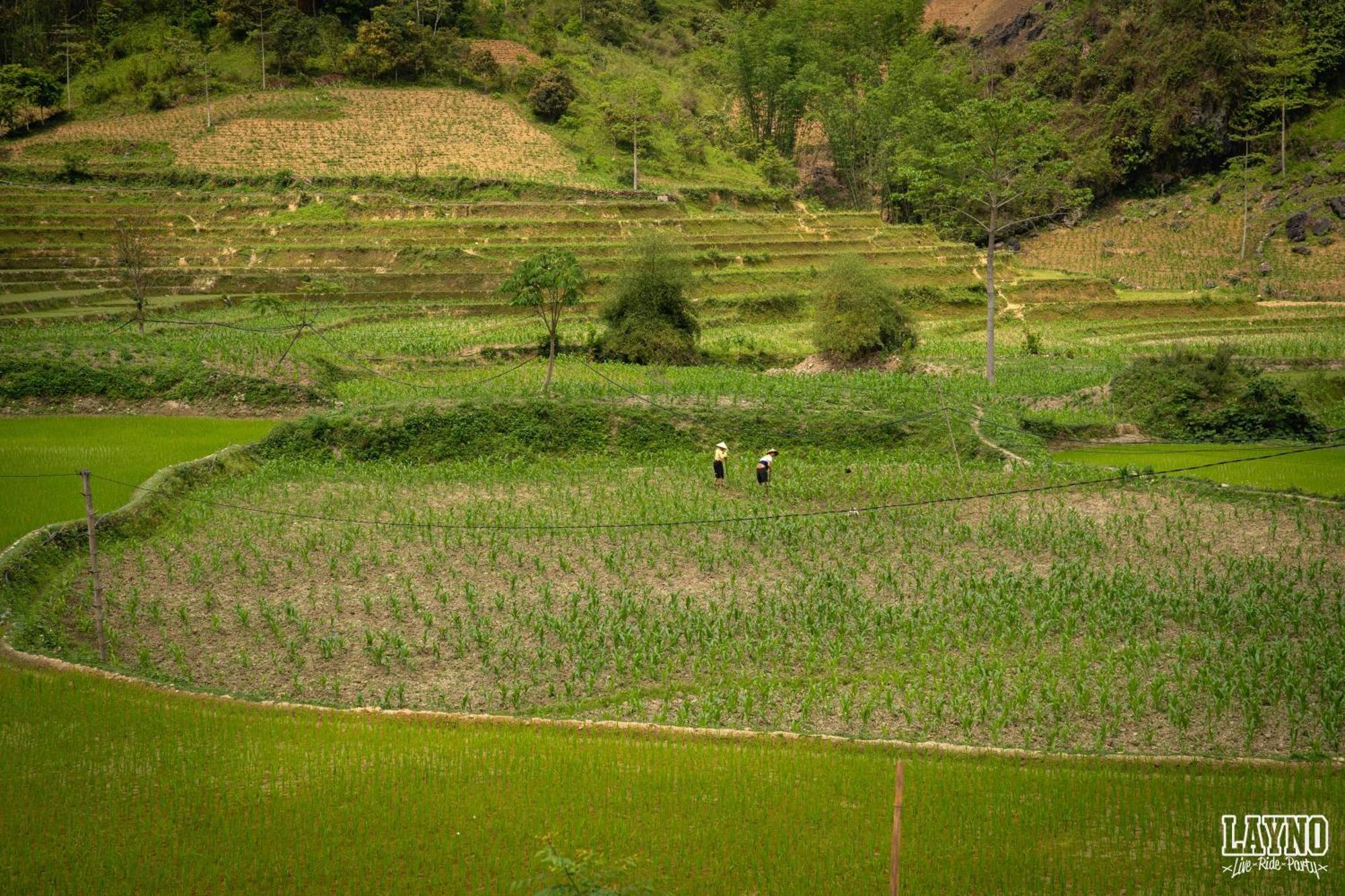 Quiri Hostel Ha Giang Lang Lap المظهر الخارجي الصورة